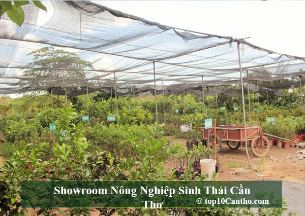 Showroom Nông Nghiệp Sinh Thái Cần Thơ
