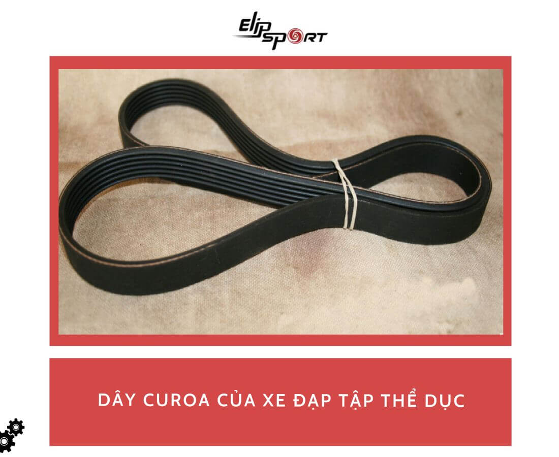 day-curoa-xe-dap-tap-the-duc-6